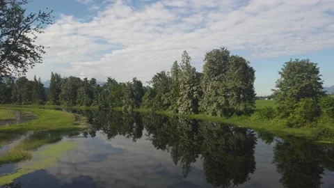 Ballam slough Stock Footage 200862659
