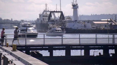 Ballard locks, seattle washington, large ships, boats Stock Footage 83395839