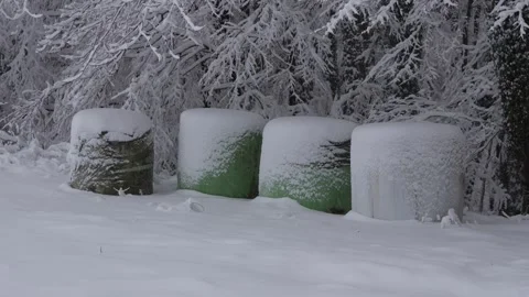 Balled hay in the snow Stock Footage 262066003
