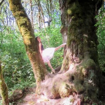 Ballerina Ballancing on a Tree Stock Photos