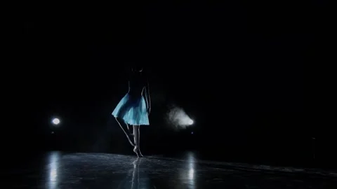 Ballerina dances beautifully in the backlight 库存影片 171815447