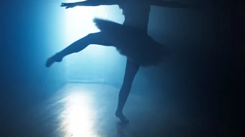 Ballerina dances complex pa spinning in dance. Stock-Footage 240403276