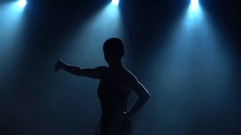 Ballerina dancing classical ballet elements. Close up, slow motion. Stock Footage 119218600