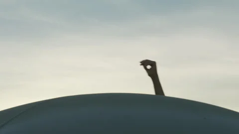 Ballerina hands dance  - Sky Stock Footage 146192277