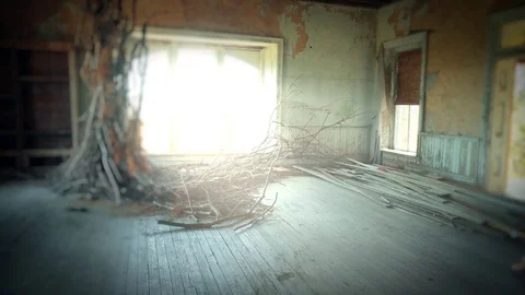 Ballerina performace 库存影片 70602288