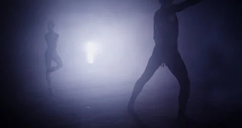 Ballerina Performing Plié in Dance Studio Stock Footage 275929867