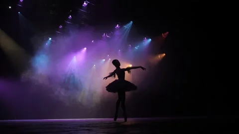 A ballerina performs elements of classical ballet in an empty theater. Stock Footage 205363432