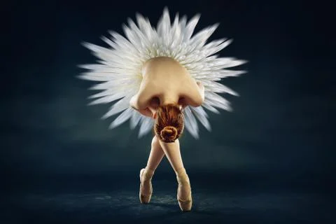 Ballerina 스톡 사진