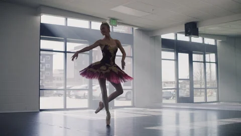 Ballerina practicing dancing en pointe in dance studio / Lehi, Utah, United Stock Footage 149061972