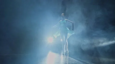 Ballerina spinning in the dance Vidéo 171817145