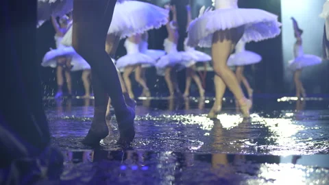 Ballerinas dancing on wet stage with reflections in Tokyo, Japan 09.25.2024 Stock Footage 309243745