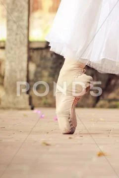 Ballerina's foot Stock Photos