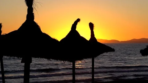 Ballermann Video stock 107621120