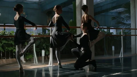 Ballet Class in Sunlit Studio Stock Footage 287425954