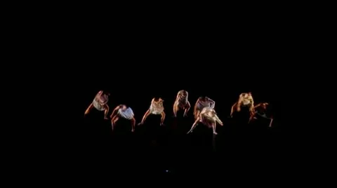 Ballet dance group Vídeos de archivo 11332644
