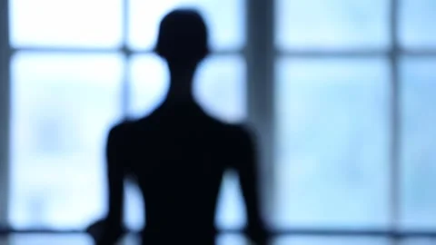 The ballet dancer 1 Stock Footage 327026079