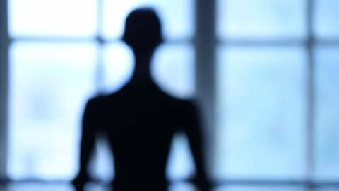 The ballet dancer 5 Stock Footage 327026199