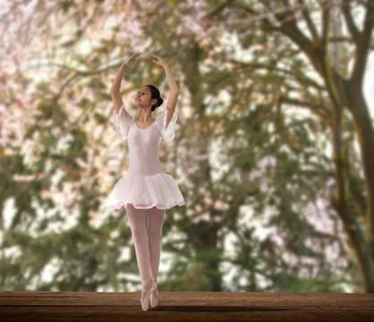 Ballet dancer Stock Photos