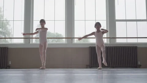 Ballet Dancers Practice Stock Footage 208738282