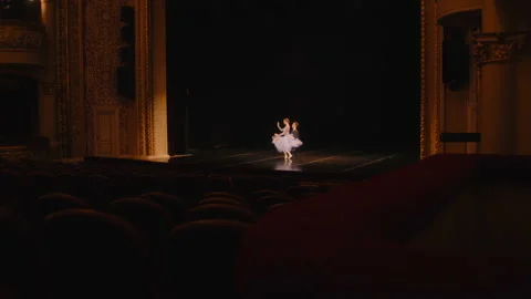 Ballet dancers prepare theatrical performance Stock Footage 238075680