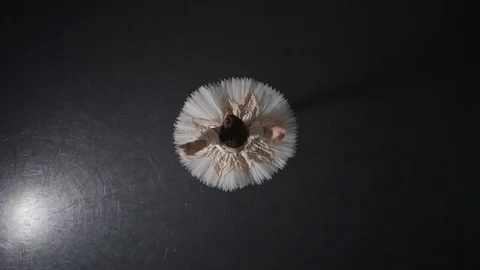 Ballet dancers in studio Vídeo Stock 83941416