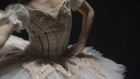 Ballet dancers in studio Stock Footage 83941525