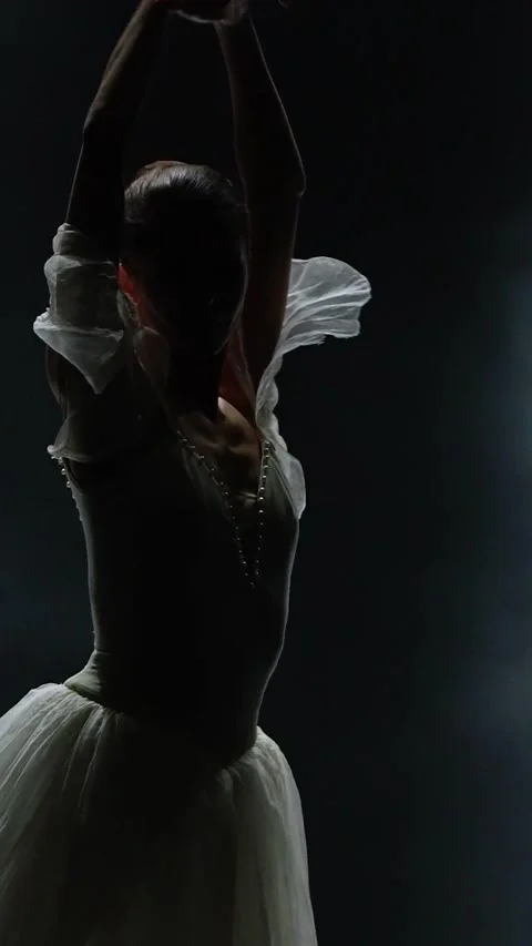 Ballet performance, vertical video, dramatic dance, graceful ballerina in a Stock Footage 266994551
