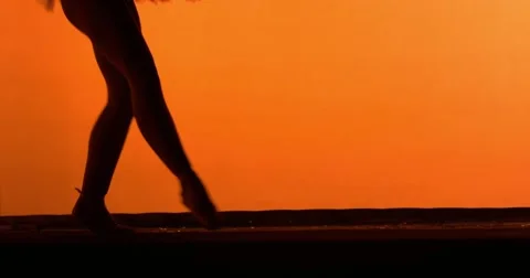 Ballet steps closely Vídeo Stock 55567168