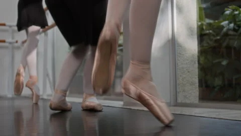Ballet Students in Pointe Shoes Practicing at Barre Stock Footage 287437128