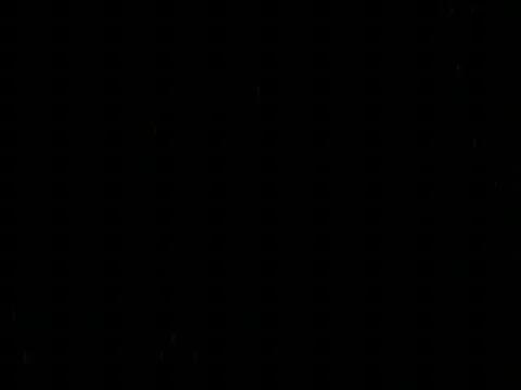 Ballflakse Stock-Footage 350015