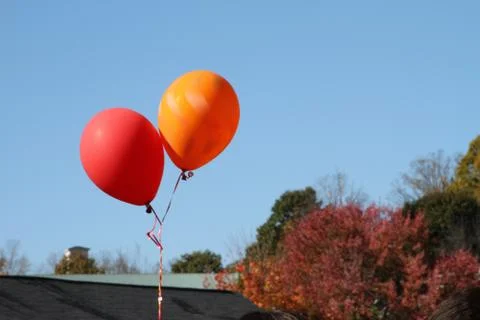 Ballons in Fall Stock Photos
