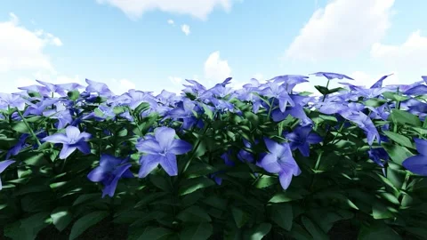 Balloon Blue Flower Stock-Footage 342150675