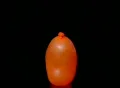 Balloon Bouncing Orange Loop in slow motion Web Footage