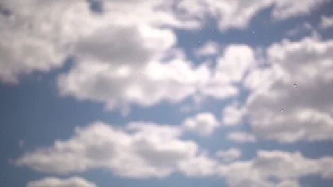 Balloon Burst Stock Footage 76882369