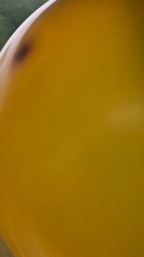 Balloon in the bus Stock-Footage 310556653