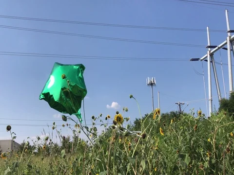 Balloon Dances Alone in a Field Stockbeeldmateriaal 78773952
