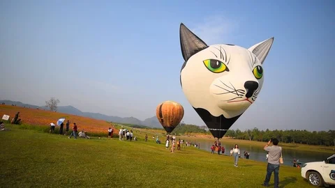 BALLOON FIESTA Stock Footage 108800727
