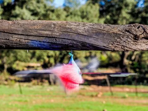 Balloon filled with water exploding when hit by an arrow. Closeup hi-speed sh 스톡 사진