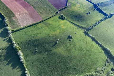 Balloon Flight Stock Photos