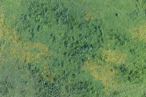 Balloon Flight Stock Photos