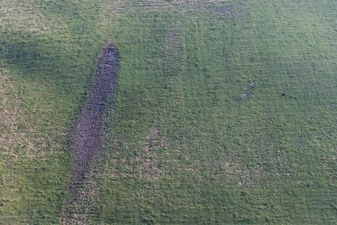 Balloon Flight Stock Photos