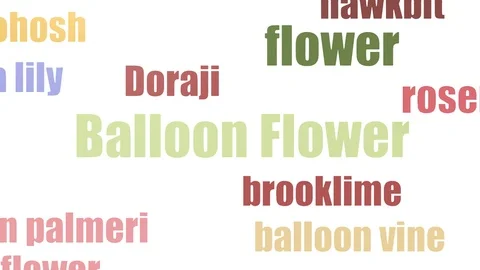 Balloon Flower Tag Cloud Animated Isolated On White Stock Footage 107242935