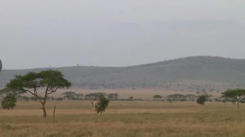 Balloon Stock Footage 10608306