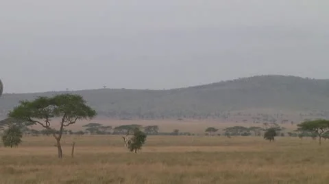 Balloon Stock Footage 10704614