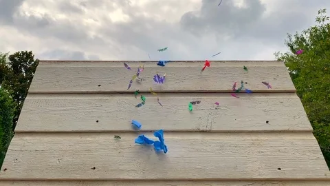 Balloon pops with confetti Stock Footage 114636637