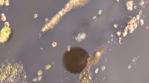 Balloon reflection is lake Video stock 72265380