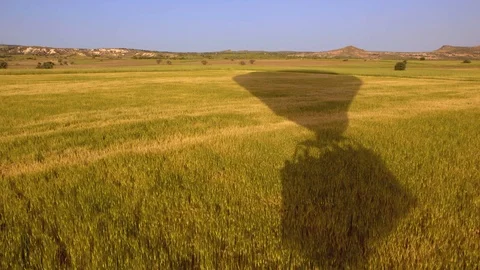 Balloon silhouette shadow on the field Stock Footage 125775048