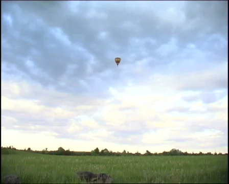 Balloon in the sky Stock Footage