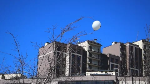 Balloon tangled in a tree crown Stock Footage 128660228