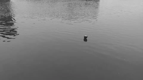 Balloon on water Video stock 171889928